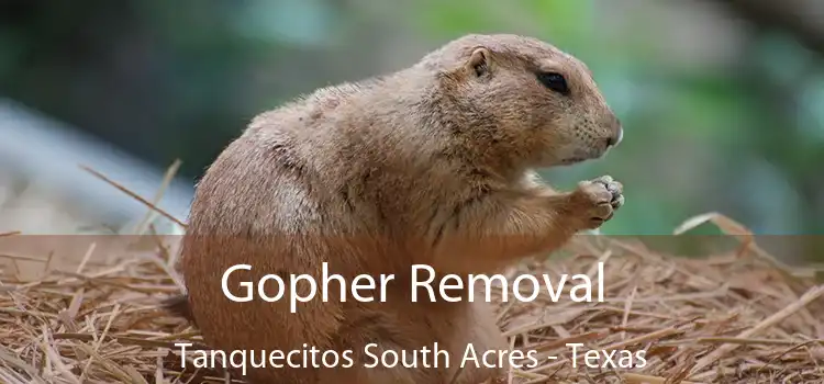 Gopher Removal Tanquecitos South Acres - Texas