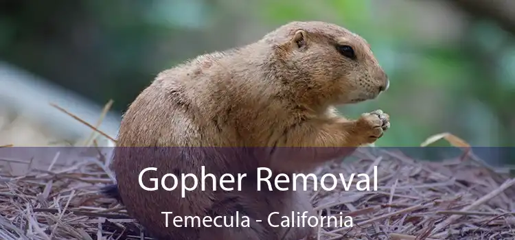 Gopher Removal Temecula - California