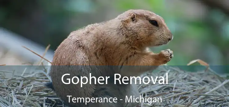 Gopher Removal Temperance - Michigan