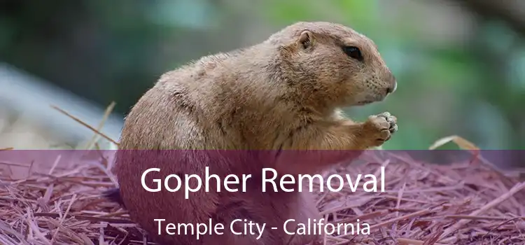 Gopher Removal Temple City - California