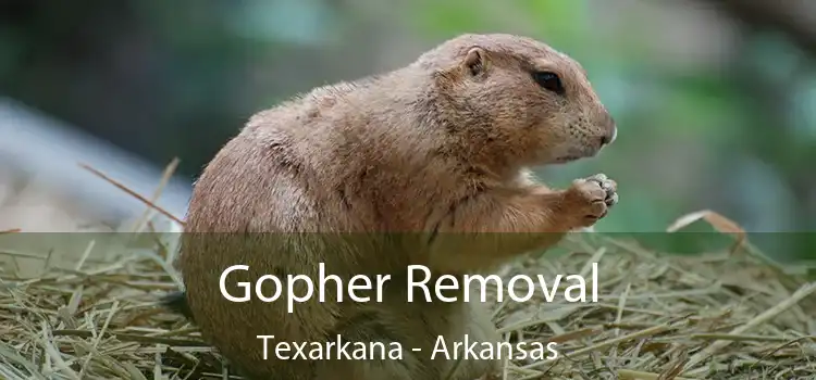 Gopher Removal Texarkana - Arkansas