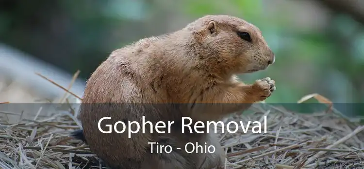 Gopher Removal Tiro - Ohio