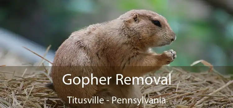 Gopher Removal Titusville - Pennsylvania
