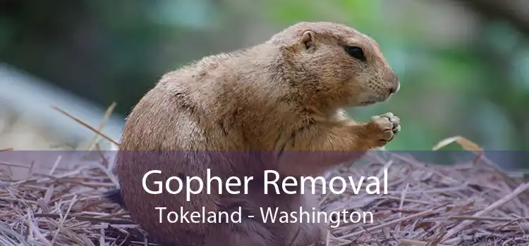 Gopher Removal Tokeland - Washington