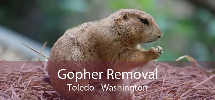 Gopher Removal Toledo - Washington