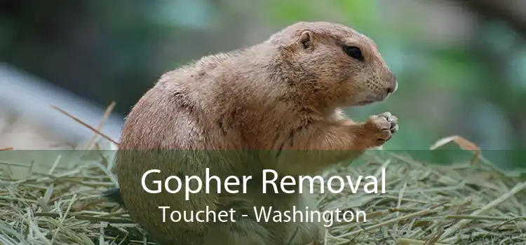 Gopher Removal Touchet - Washington