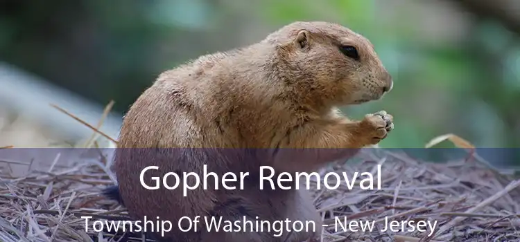 Gopher Removal Township Of Washington - New Jersey