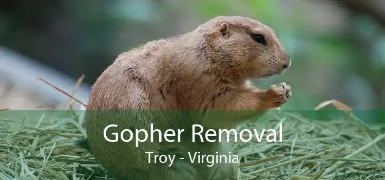 Gopher Removal Troy - Virginia