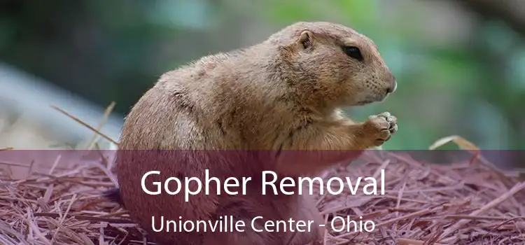 Gopher Removal Unionville Center - Ohio