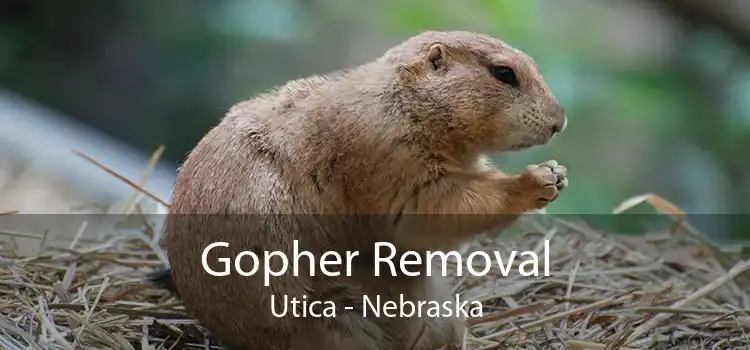 Gopher Removal Utica - Nebraska