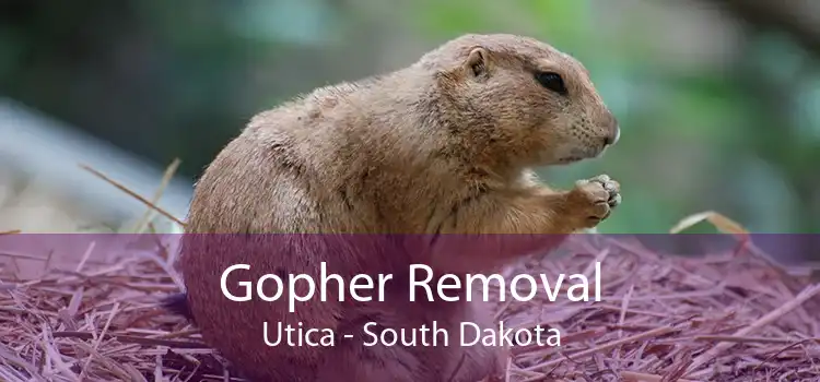 Gopher Removal Utica - South Dakota