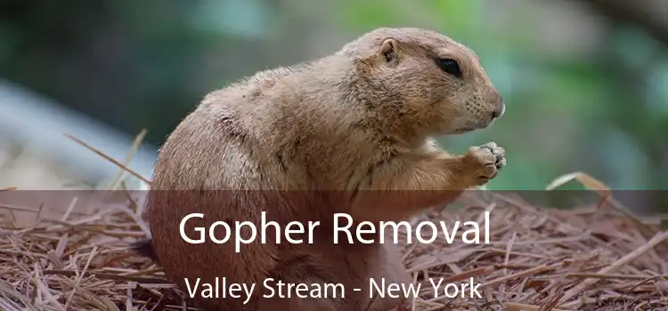 Gopher Removal Valley Stream - New York