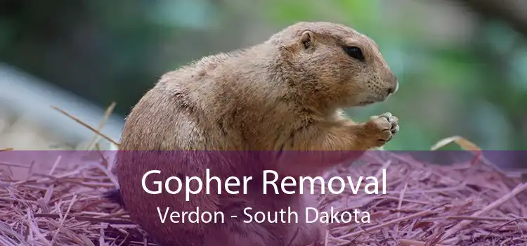 Gopher Removal Verdon - South Dakota