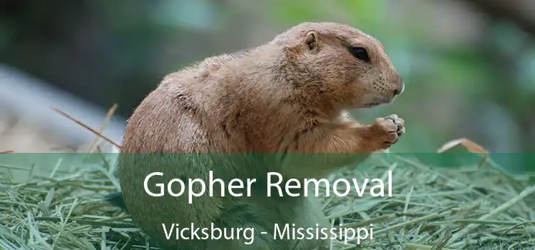 Gopher Removal Vicksburg - Mississippi