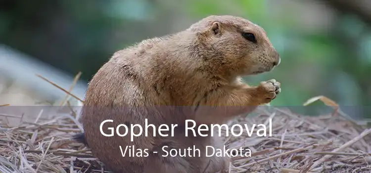 Gopher Removal Vilas - South Dakota