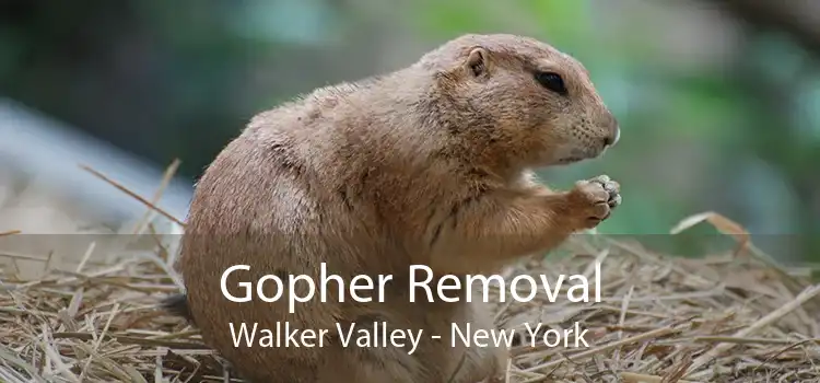 Gopher Removal Walker Valley - New York