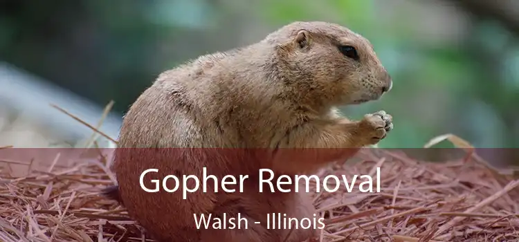 Gopher Removal Walsh - Illinois