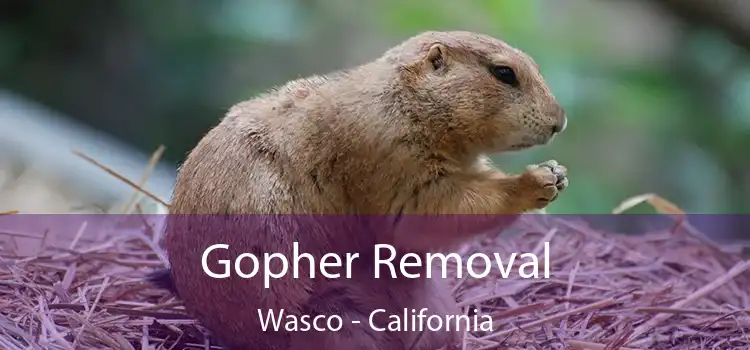 Gopher Removal Wasco - California