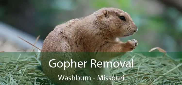 Gopher Removal Washburn - Missouri