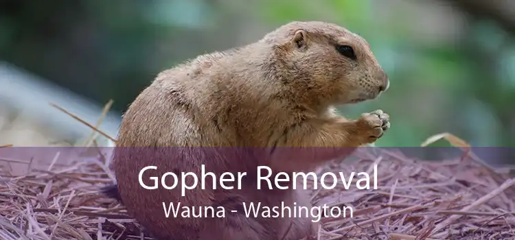 Gopher Removal Wauna - Washington