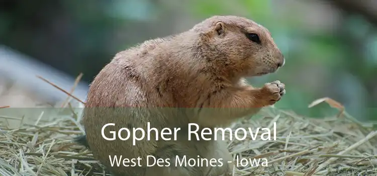 Gopher Removal West Des Moines - Iowa