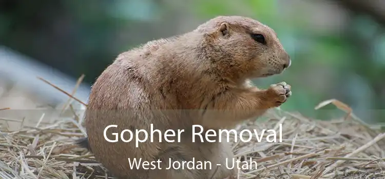 Gopher Removal West Jordan - Utah