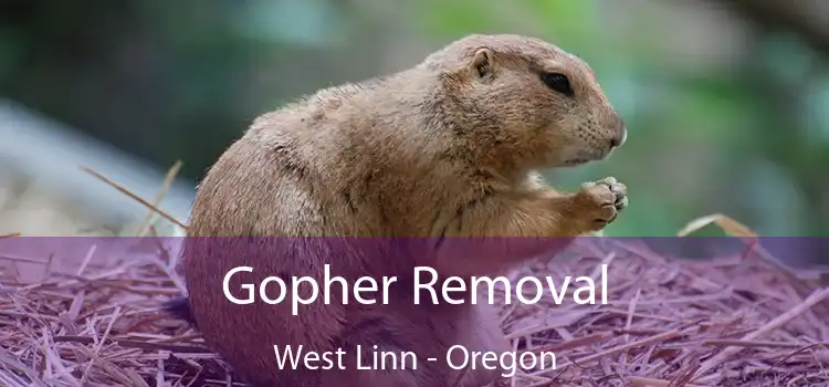 Gopher Removal West Linn - Oregon