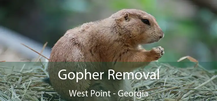 Gopher Removal West Point - Georgia