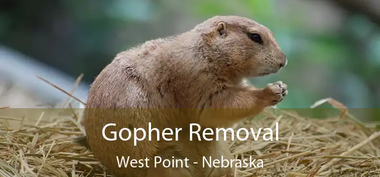 Gopher Removal West Point - Nebraska