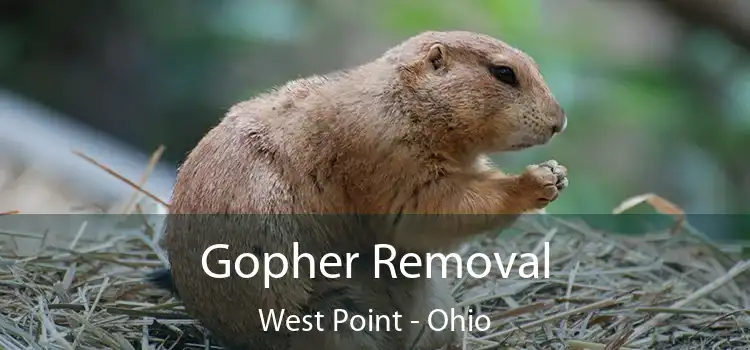 Gopher Removal West Point - Ohio