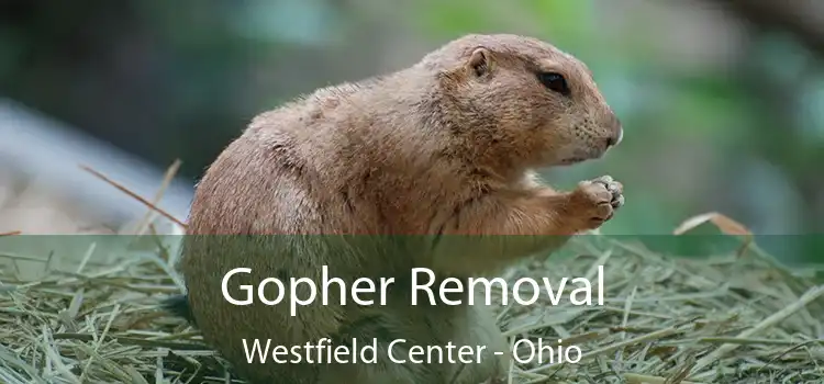 Gopher Removal Westfield Center - Ohio