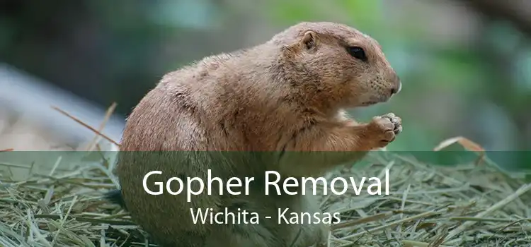 Gopher Removal Wichita - Kansas