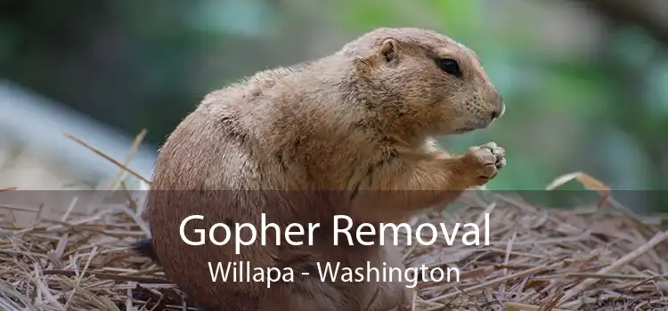 Gopher Removal Willapa - Washington