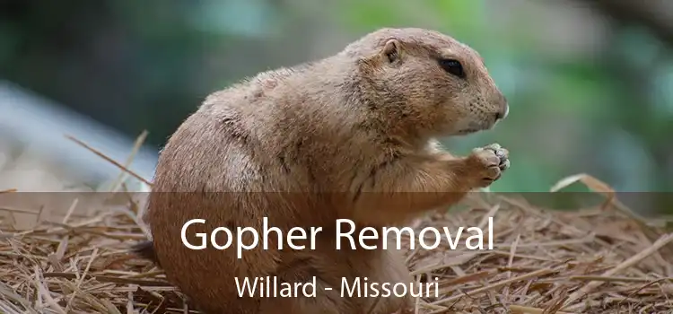 Gopher Removal Willard - Missouri