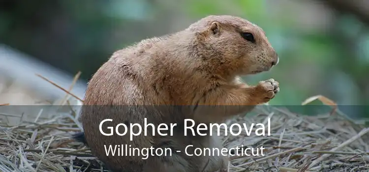 Gopher Removal Willington - Connecticut