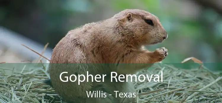 Gopher Removal Willis - Texas
