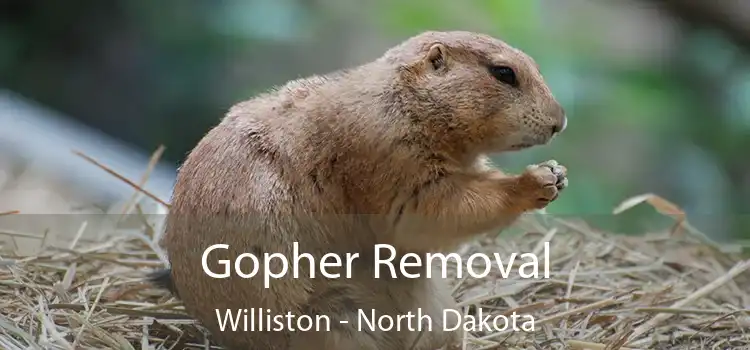 Gopher Removal Williston - North Dakota