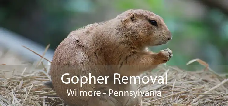 Gopher Removal Wilmore - Pennsylvania