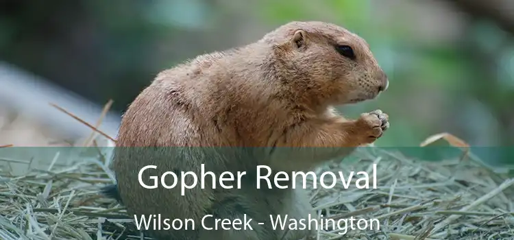 Gopher Removal Wilson Creek - Washington