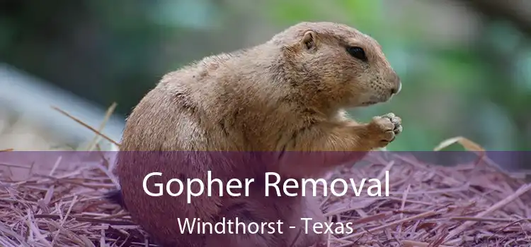 Gopher Removal Windthorst - Texas
