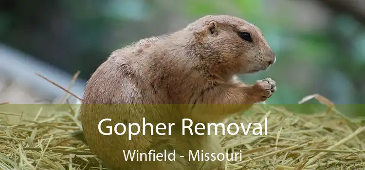 Gopher Removal Winfield - Missouri