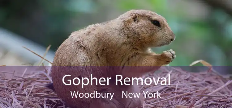 Gopher Removal Woodbury - New York