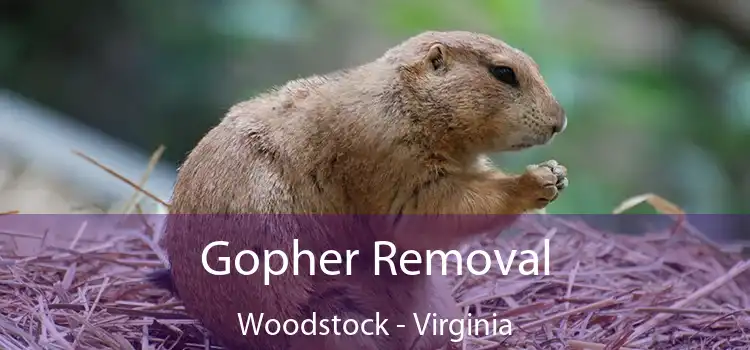 Gopher Removal Woodstock - Virginia