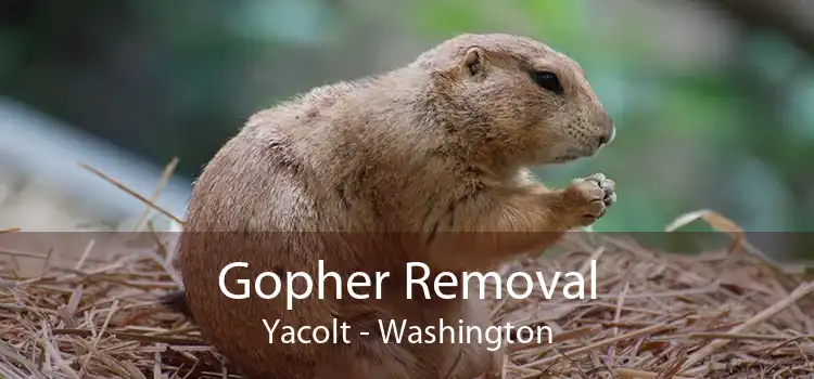 Gopher Removal Yacolt - Washington