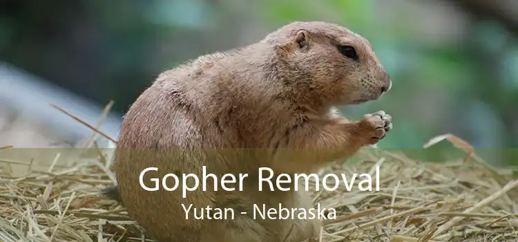 Gopher Removal Yutan - Nebraska