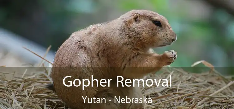 Gopher Removal Yutan - Nebraska