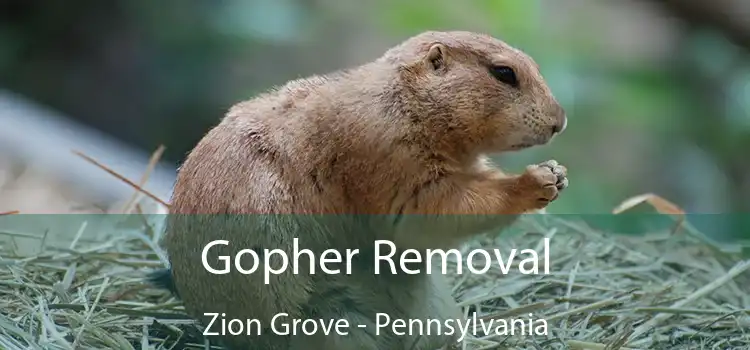 Gopher Removal Zion Grove - Pennsylvania