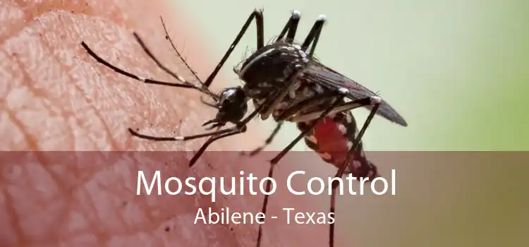 Mosquito Control Abilene - Texas