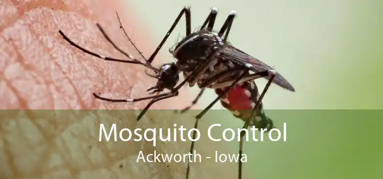 Mosquito Control Ackworth - Iowa