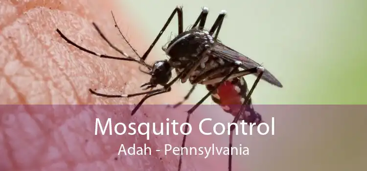 Mosquito Control Adah - Pennsylvania